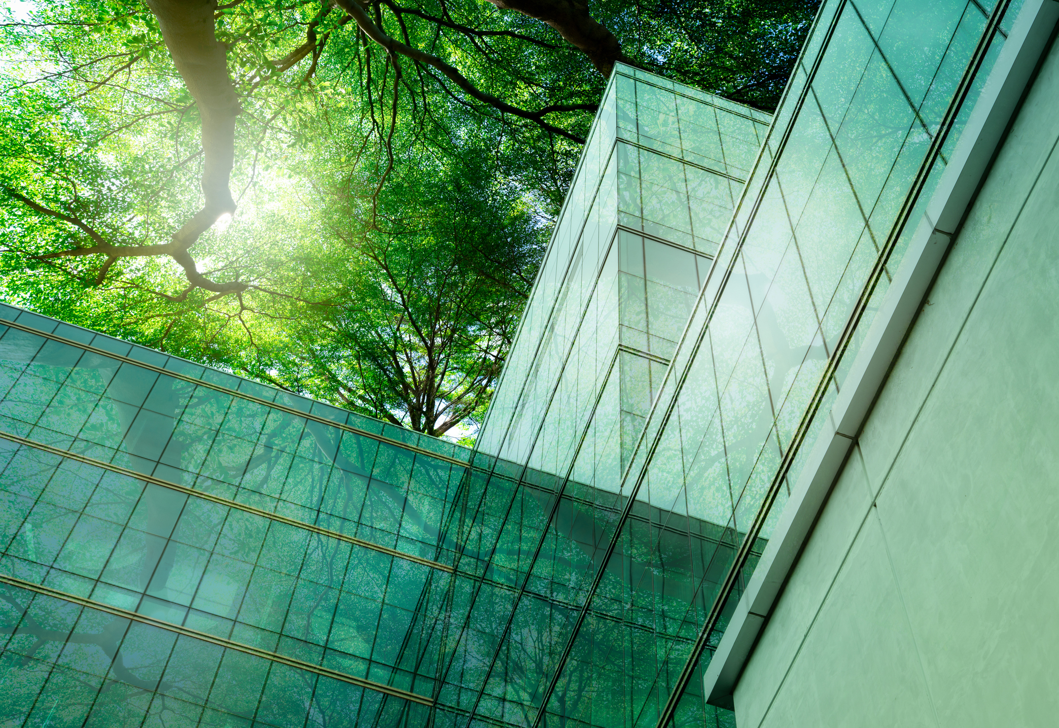 Modern glass building surrounded by trees illustrating sustainable design and low carbon construction aligned with Environmental Product Declaration standards